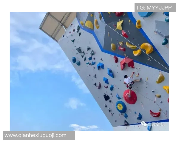 南京攀岩队区域防守体系的战术分析与实践探讨