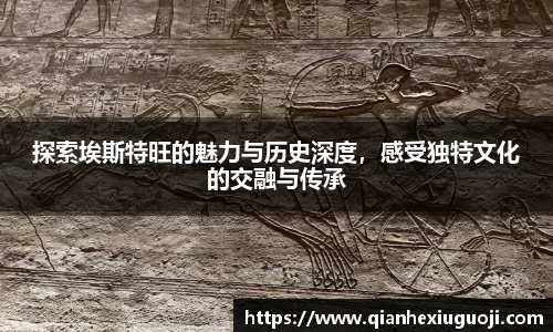 db电竞官网